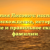 Фамилия Лисович: исследуем происхождение, историю, значение и правильное склонение фамилии