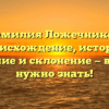 Фамилия Ложечников: происхождение, история, значение и склонение — всё, что нужно знать!