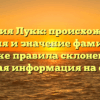 Фамилия Лукк: происхождение, история и значение фамилии, а также правила склонения – полная информация на сайте