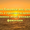 Фамилия Ляховка: все, что нужно знать о происхождении и склонении этой уникальной фамилии