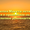 Фамилия Макута: история, значения и правильное склонение — полное руководство