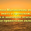Фамилия Малашенок: все, что нужно знать о происхождении, истории и значении этого имени, а также правильное склонение
