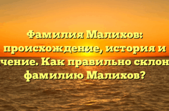 Фамилия Малихов: происхождение, история и значение. Как правильно склонять фамилию Малихов?