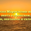 Фамилия Маракасова: всё, что нужно знать о происхождении, истории, значении и склонении.