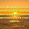 Фамилия Маракуша: история происхождения, значение и правильное склонение — SEO-заголовок для статьи на сайте.