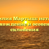 Фамилия Мартыш: история, происхождение и особенности склонения