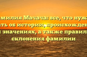 Фамилия Мачача: все, что нужно знать об истории, происхождении и значениях, а также правила склонения фамилии