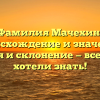 Фамилия Мачехин: происхождение и значение, история и склонение — все, что вы хотели знать!