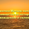 Фамилия Мелюх: полное руководство по истории, происхождению и склонению!