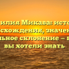 Фамилия Микава: история происхождения, значение и правильное склонение — все, что вы хотели знать