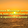 Фамилия Миллер: история и значения, как правильно склонять и происхождение