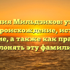 Фамилия Мильдзихов: узнайте про ее происхождение, историю и значение, а также как правильно склонять эту фамилию.