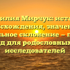 Фамилия Мирчук: история происхождения, значение и правильное склонение — полный гид для родословных и исследователей