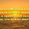 Фамилия Мисонжников: происхождение и значения, история и правильное склонение – все, что нужно знать!