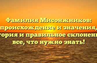 Фамилия Мисонжников: происхождение и значения, история и правильное склонение – все, что нужно знать!