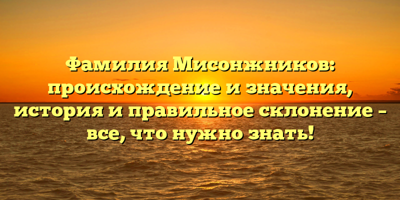 Фамилия Мисонжников: происхождение и значения, история и правильное склонение – все, что нужно знать!