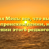 Фамилия Мись: все, что вы хотели знать о происхождении, истории и значении этого редкого имени