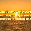 Фамилия Мито: история происхождения, значение и склонение в одной статье