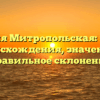 Фамилия Митропольская: история происхождения, значение и правильное склонение