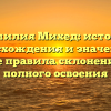 Фамилия Михед: история происхождения и значения, а также правила склонения для полного освоения