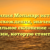 Фамилия Мольнар: история происхождения, значение и правильное склонение — все о фамилии, которую стоит знать!