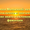 Фамилия Мольский: история, происхождение и значения, все, что нужно знать о склонении этой фамилии