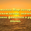 Фамилия Мор: история происхождения, значение и склонение фамилии в русском языке.