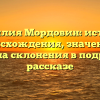 Фамилия Мордовин: история происхождения, значение и правила склонения в подробном рассказе