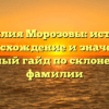 Фамилия Морозовы: история, происхождение и значения, полный гайд по склонению фамилии