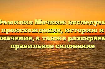 Фамилия Мочкин: исследуем происхождение, историю и значение, а также разбираем правильное склонение