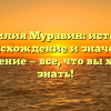 Фамилия Муравин: история, происхождение и значение, склонение — все, что вы хотели знать!