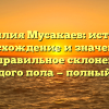 Фамилия Мусакаев: история, происхождение и значения, а также правильное склонение для каждого пола — полный гид