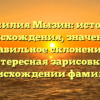 Фамилия Мызин: история происхождения, значение и правильное склонение — интересная зарисовка о происхождении фамилии.