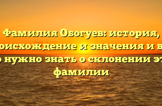 Фамилия Обогуев: история, происхождение и значения и все, что нужно знать о склонении этой фамилии