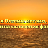 Фамилия Олесик: истоки, история и правила склонения фамилии