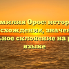 Фамилия Орос: история происхождения, значение и правильное склонение на русском языке