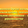 Фамилия Орчи: история происхождения, значение и правильное склонение – полное руководство