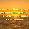 Фамилия Павлуцкий: исследование происхождения, истории, значения и правильного склонения