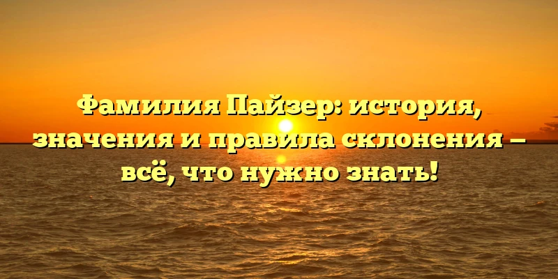 Фамилия Пайзер: история, значения и правила склонения — всё, что нужно знать! Фамилия Пайзер: история, значения и правила склонения — всё, что нужно знать!