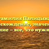 Фамилия Палицына: происхождение, значение и склонение — все, что нужно знать