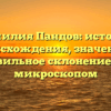 Фамилия Пандов: история происхождения, значение и правильное склонение под микроскопом