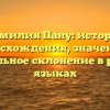 Фамилия Пану: история происхождения, значения и правильное склонение в разных языках