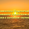 Фамилия Перепечай: исследование происхождения и значения с полным склонением