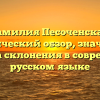 Фамилия Песоченская: исторический обзор, значение и правила склонения в современном русском языке