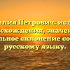 Фамилия Петрович: история происхождения, значение и правильное склонение согласно русскому языку.