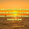 Фамилия Пикулина: происхождение, история и значение, полное склонение по падежам