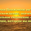Фамилия Пинженин: история, происхождение, значение и правильное склонение — все о фамилии, которую вы искали!