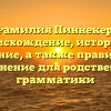 Фамилия Пиннекер: происхождение, история и значение, а также правильное склонение для родственной грамматики