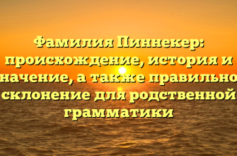 Фамилия Пиннекер: происхождение, история и значение, а также правильное склонение для родственной грамматики