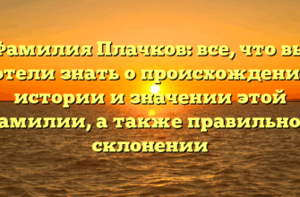 Фамилия Плачков: все, что вы хотели знать о происхождении, истории и значении этой фамилии, а также правильном склонении